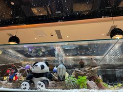 -红辣椒·川菜·火锅(科华路店)