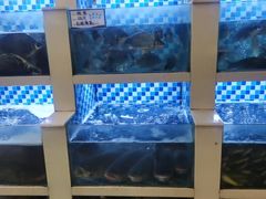 -野渡坡·极致湘菜·庭院餐厅(汉阳店)
