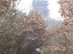 -敬亭山风景名胜区