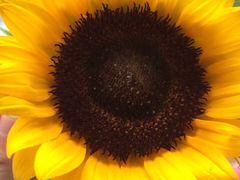 艾泽瑞斯图文快印设计(艾泽瑞斯打印复印店)-艾泽瑞斯图文快印打印复印证件照设计名片画册(艾泽瑞斯打印复印洗照片店)