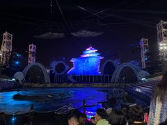 -北戴河碧螺塔海上酒吧公园