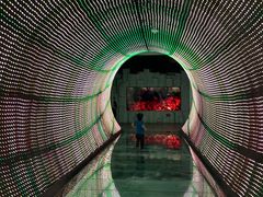 -正佳自然科学博物馆