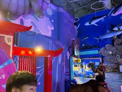 -烟台海昌鲸鲨海洋公园