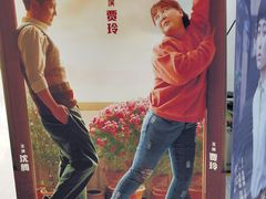 -临泉大地影城(大润发店)