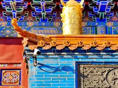 -大召无量寺
