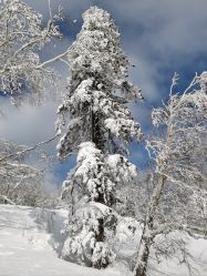 -大秃顶子山