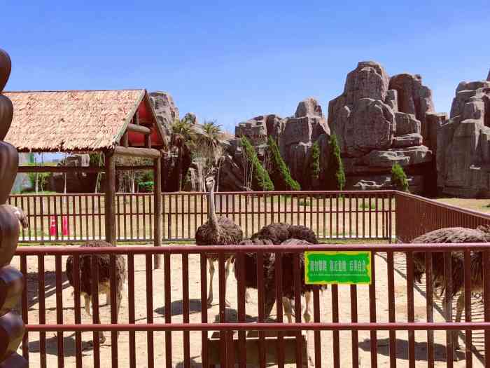 盐城大丰港动物园