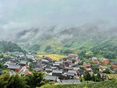 -紫鹊界梯田景区