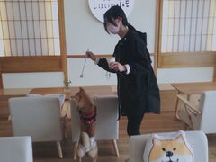 -柴犬小屋·柴餐厅·狗咖食堂(金鼎广场店)