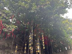 -重庆十八梯传统风貌区