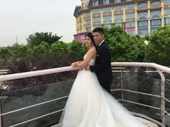 -百万葵园