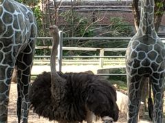 -西安秦岭野生动物园