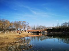 -大兴滨河森林公园