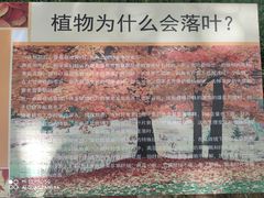 -东莞植物园