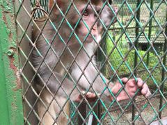 -藏龙百瀑风景区