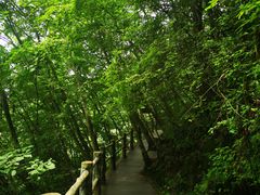 -塔云山