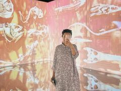 -凤凰中心