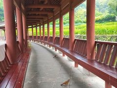 -龙头寺公园