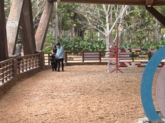 -珠海海泉湾神秘岛亲子乐园