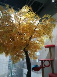 -M Hair造型