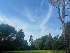 -墨尔本皇家植物园