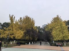 -绵阳人民公园(涪城区)