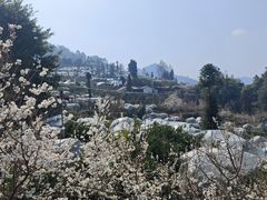 -樱桃山旅游景区