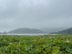 -南北湖风景区