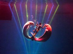 -芜湖新华联大白鲸海洋公园