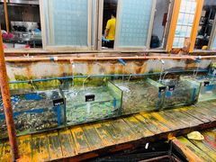 水产区-蓝湾碧波·老字号·疍家非遗海上餐厅