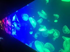 -成都浩海立方海洋公园