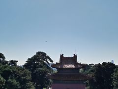 -北陵公园