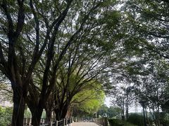 -黄埔古港