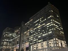 -台场海滨公园船码头