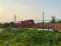 -芒洲湿地公园