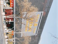 -北京同仁堂王府井中医医院(东安门大街店)