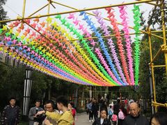 -成飞公园