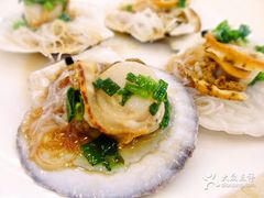-海岛渔村大酒店(云霄路店)