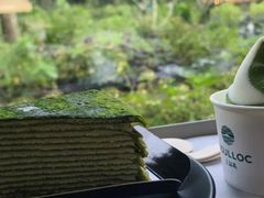 -雪绿茶博物馆