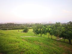 -汉长安城未央宫国家考古遗址公园