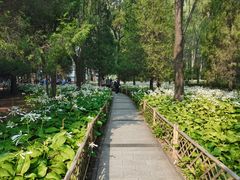 -森林公园(尖草坪区)