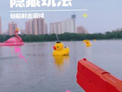 -莲花池公园