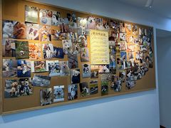 -翊宠yipet猫狗购宠庄园犬舍•猫舍