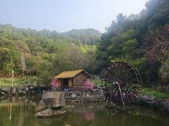 -梁野山景区