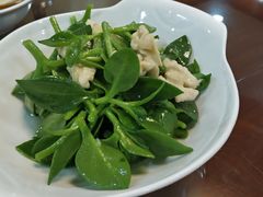 穿心莲-新疆巴州金丝特餐厅(大钟寺店)