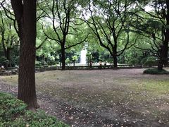 -上海交通大学医学院附属瑞金医院(总院)