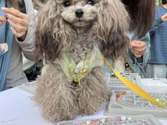 -上海神旺大酒店