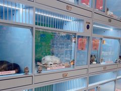 -FAELING PETS美天灵宠物(合生汇店)
