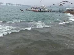 -星海广场