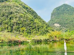 -靖西鹅泉风景区